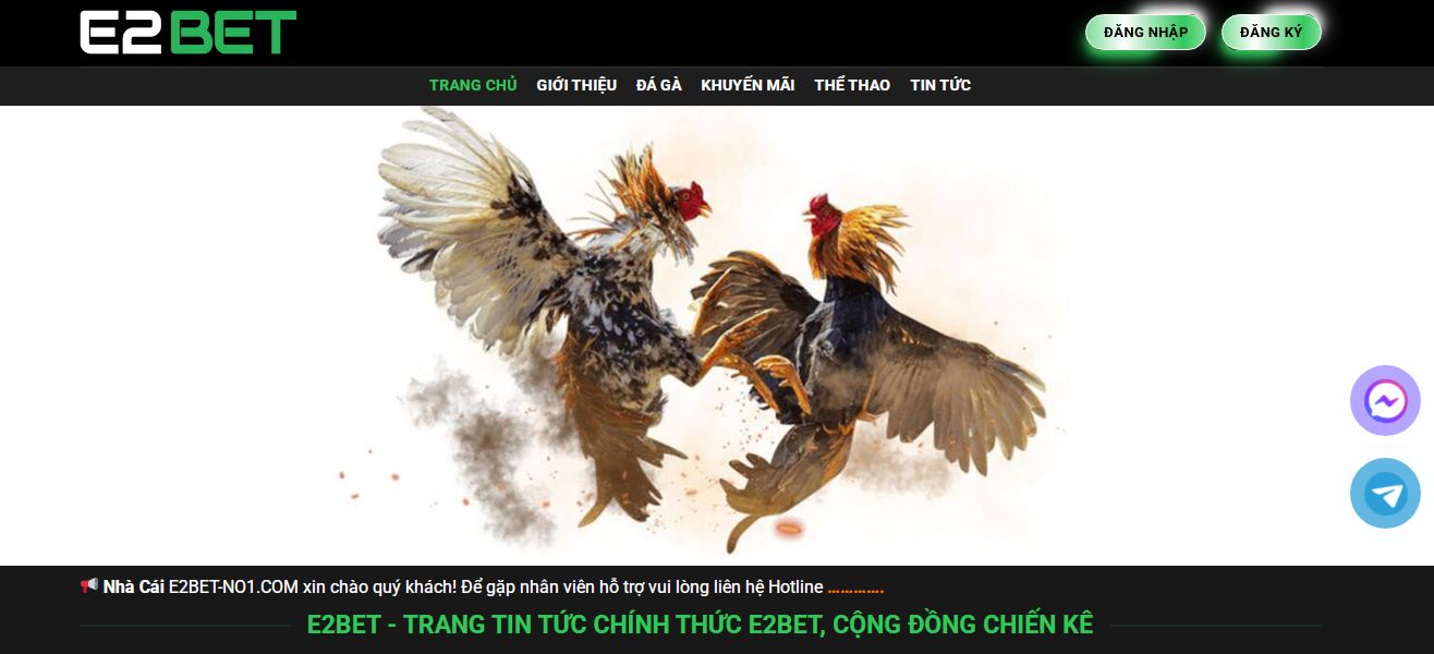 Hướng dẫn đăng ký tài khoản xem đá gà online tại E2BET