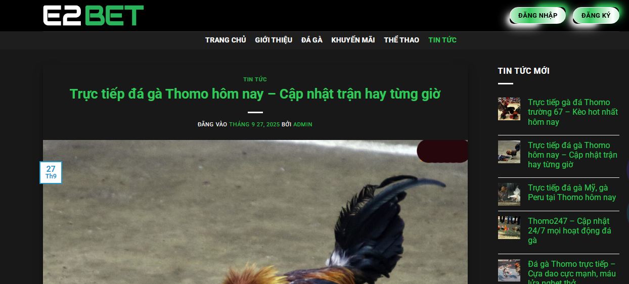 E2BET – Sân chơi hàng đầu cho cộng đồng đam mê đá gà tại Việt Nam