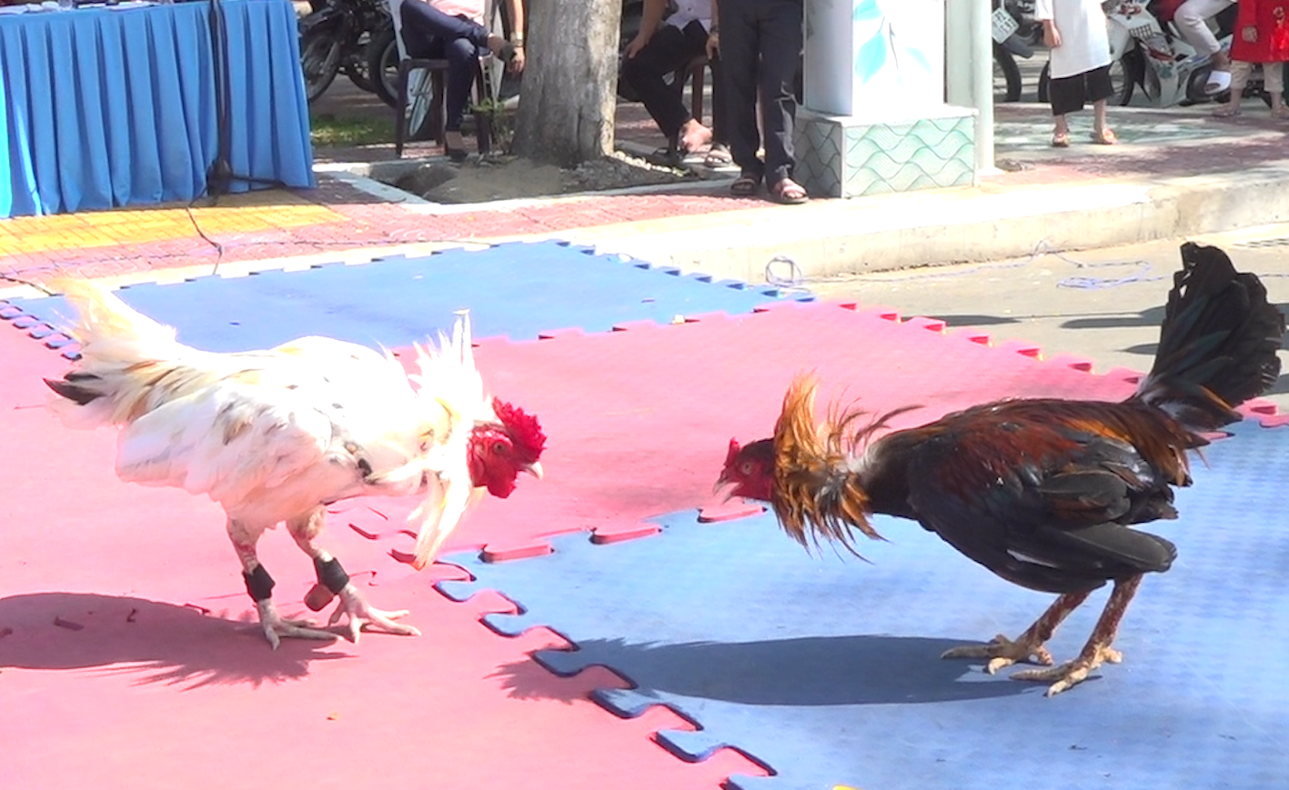 E2BET sở hữu nhiều ưu điểm vượt trội